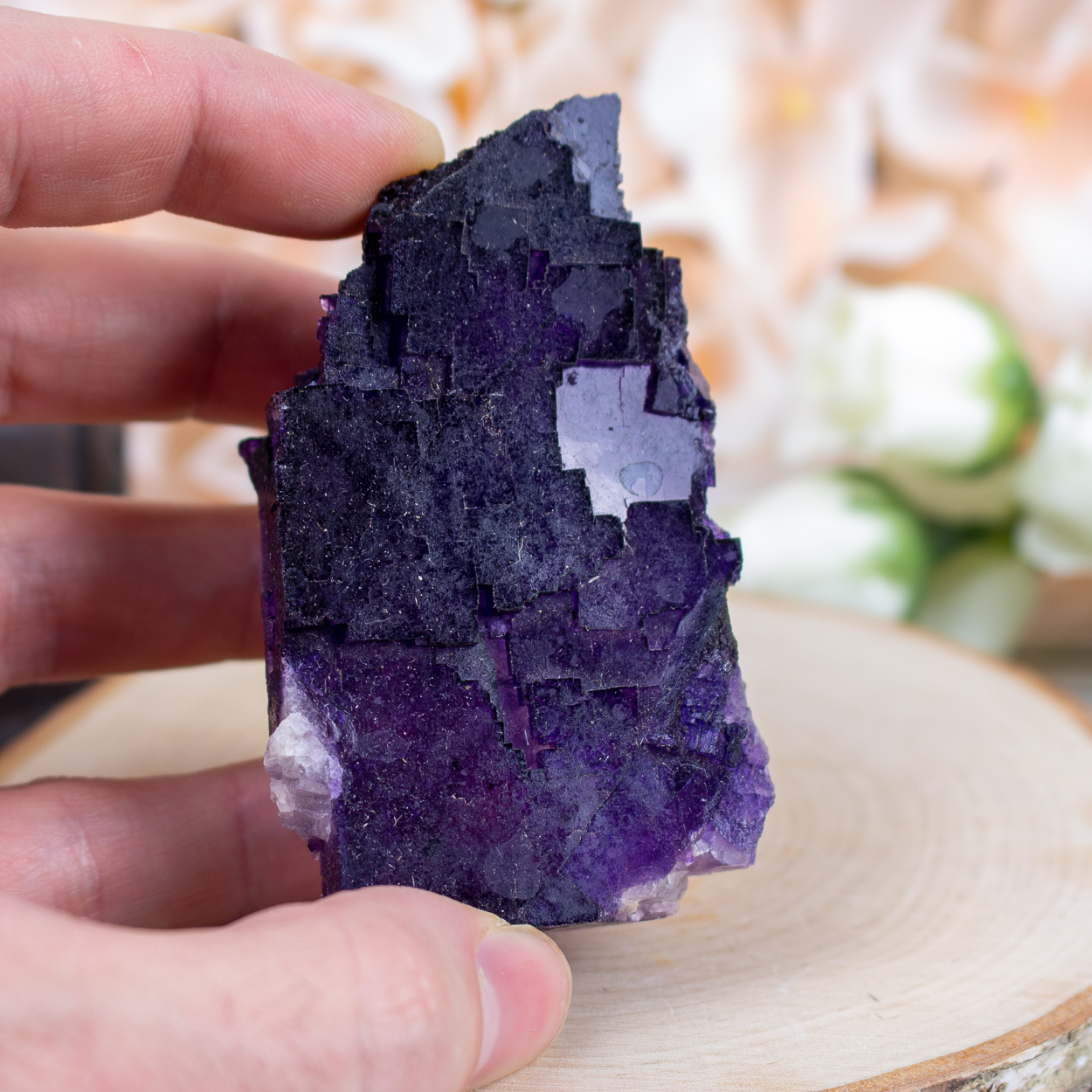 Purple Fluorite #8 - The Crystal Council