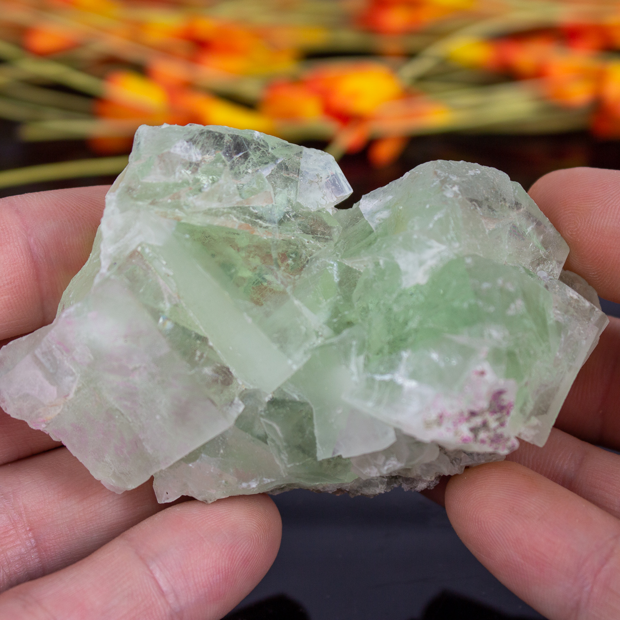 Green Fluorite 10 The Crystal Council