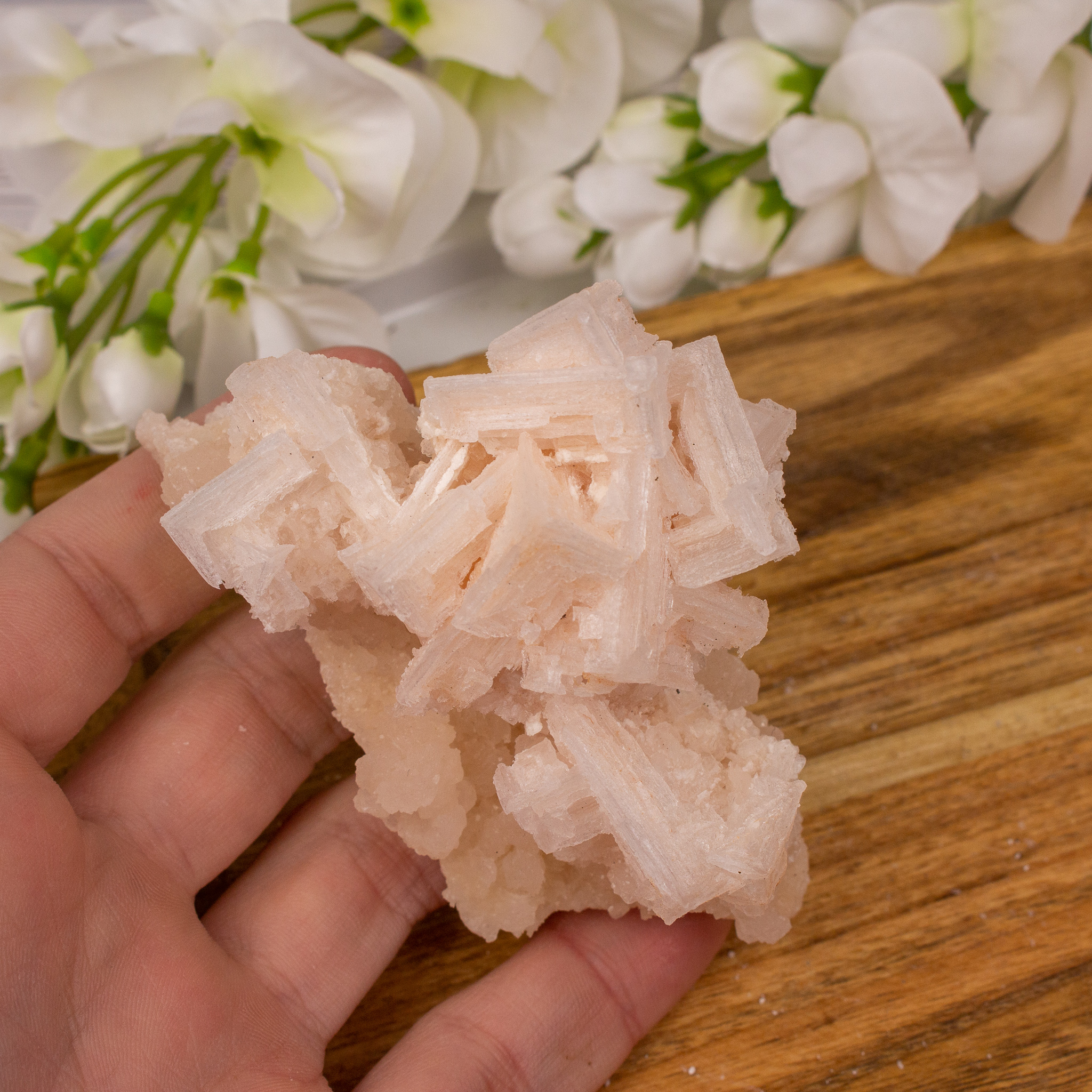 pink-halite-5-the-crystal-council