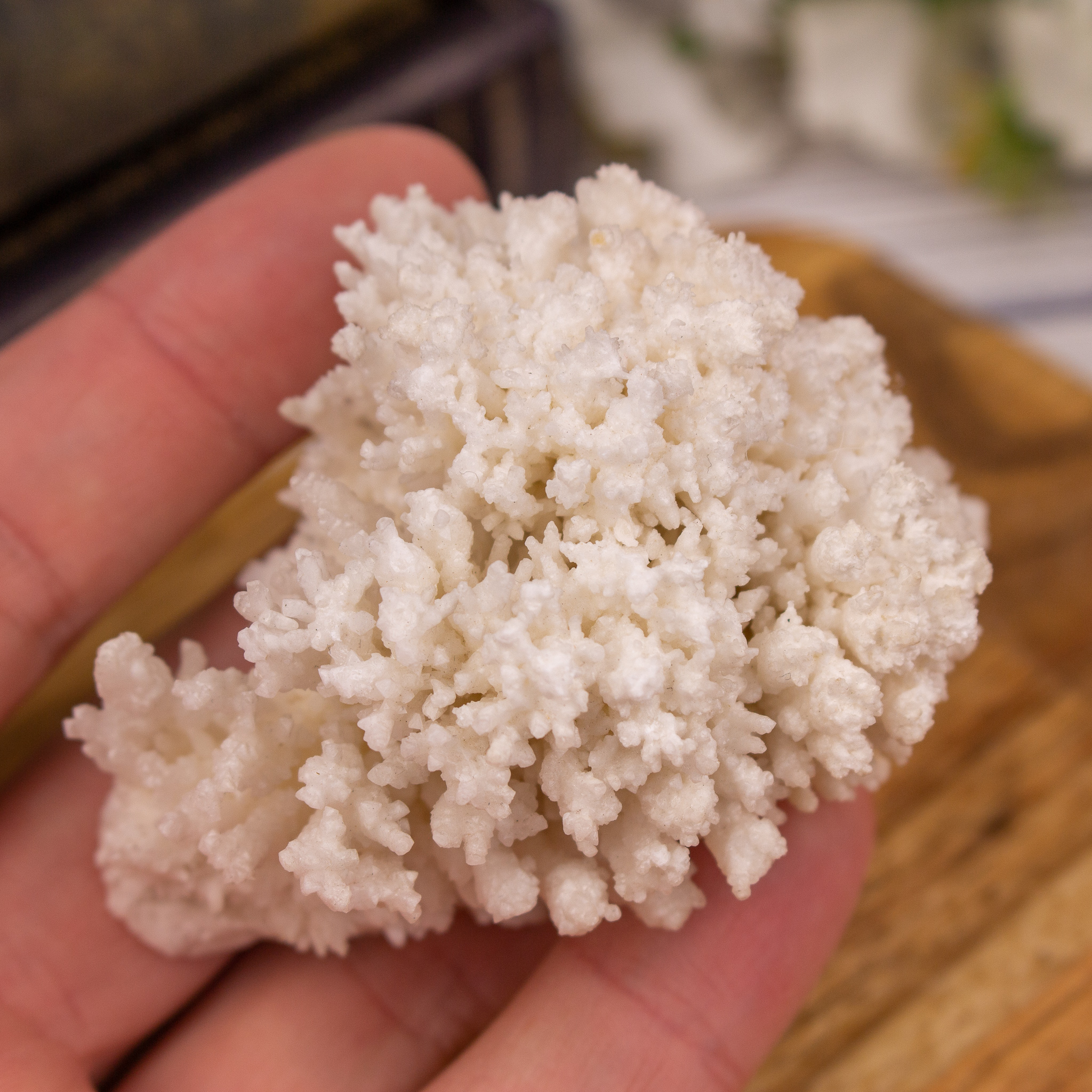 White Aragonite The Crystal Council
