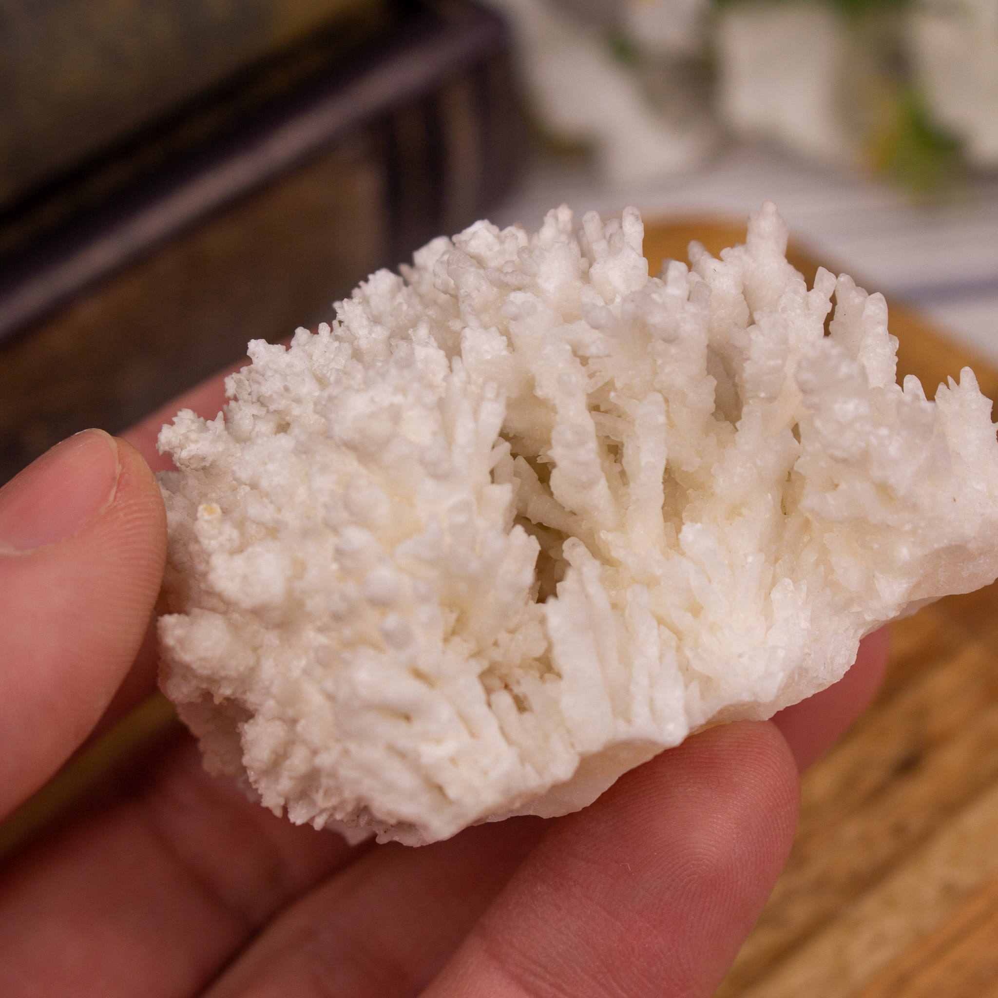 White Aragonite The Crystal Council