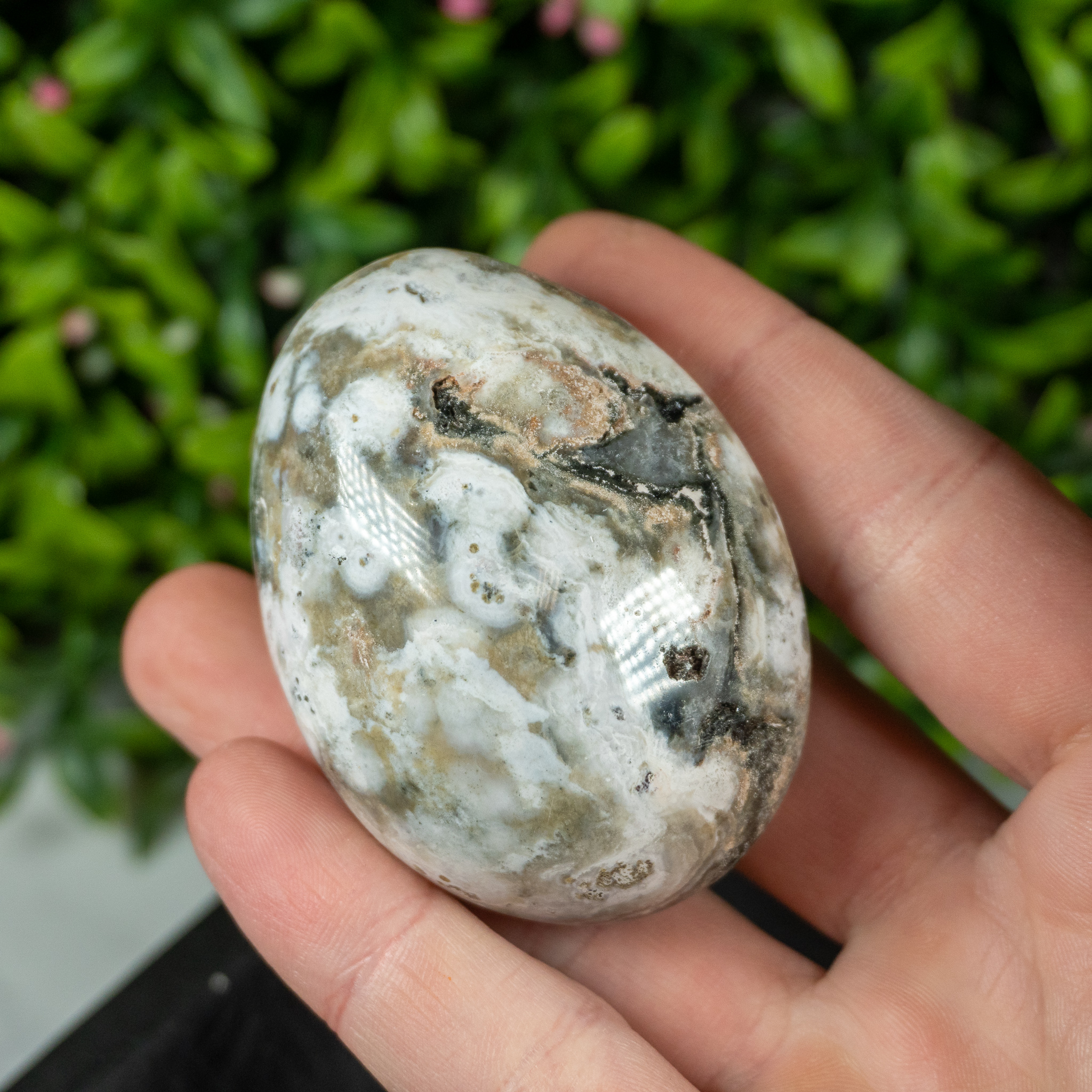 Ocean Jasper Palmstone The Crystal Council