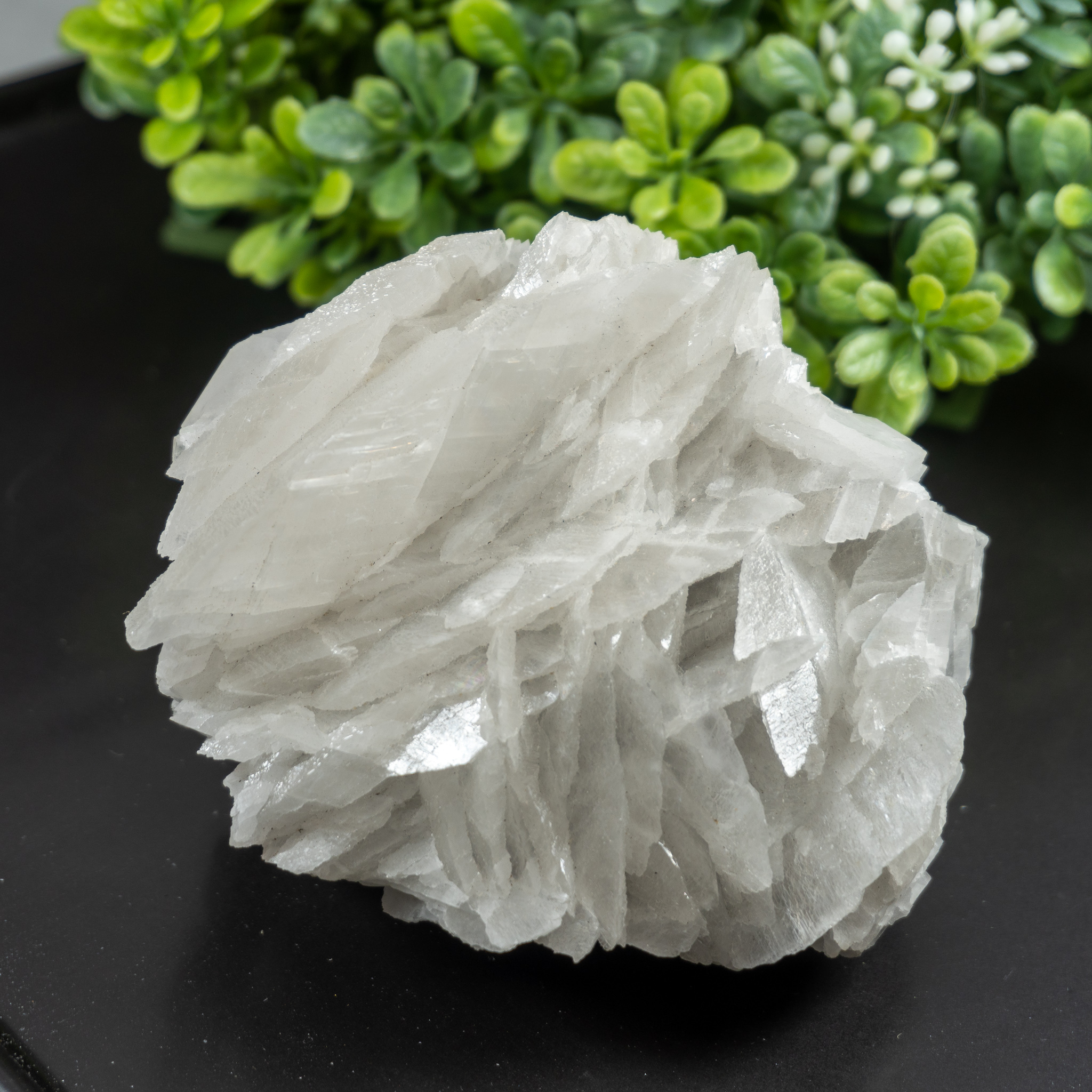 Raw Magnesite (Howlite) The Crystal Council