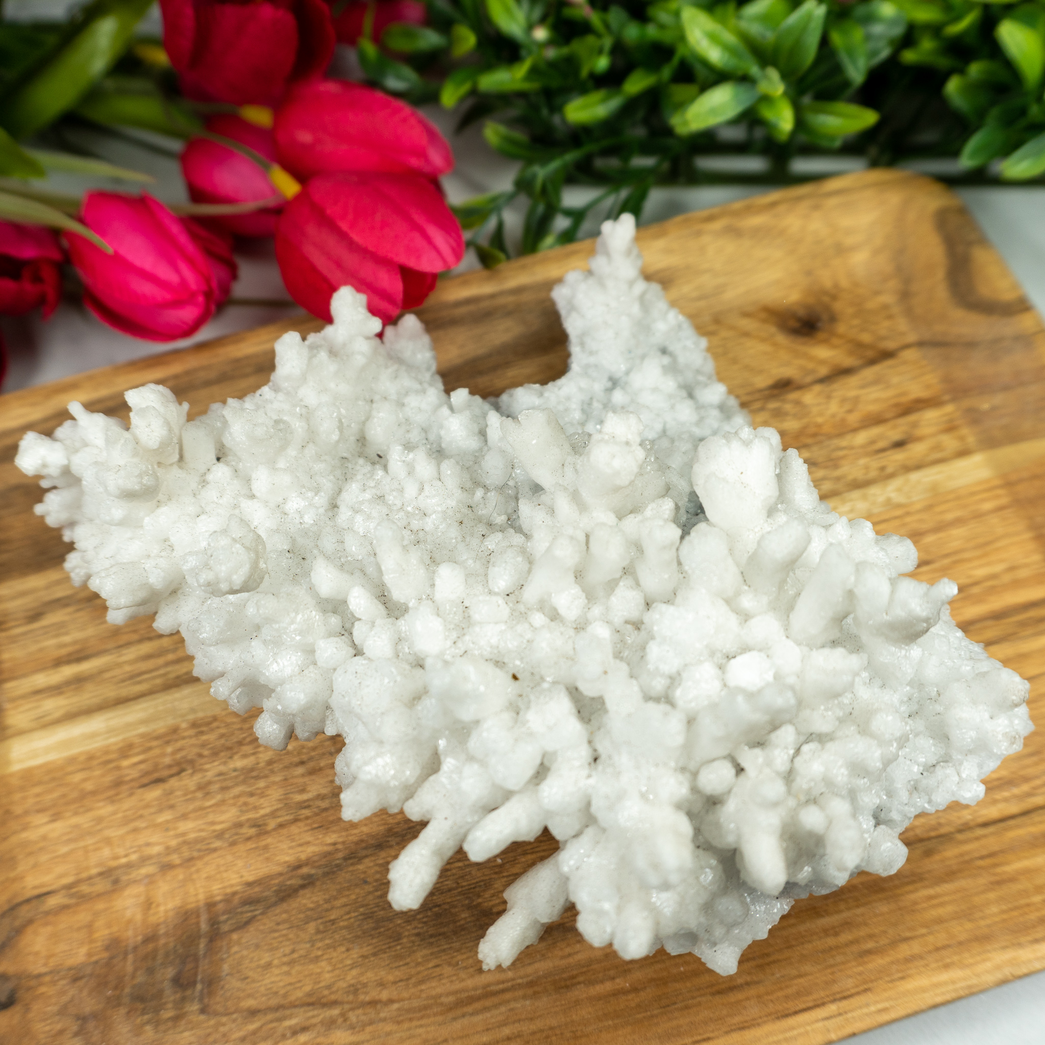 Raw White Aragonite #3 - The Crystal Council