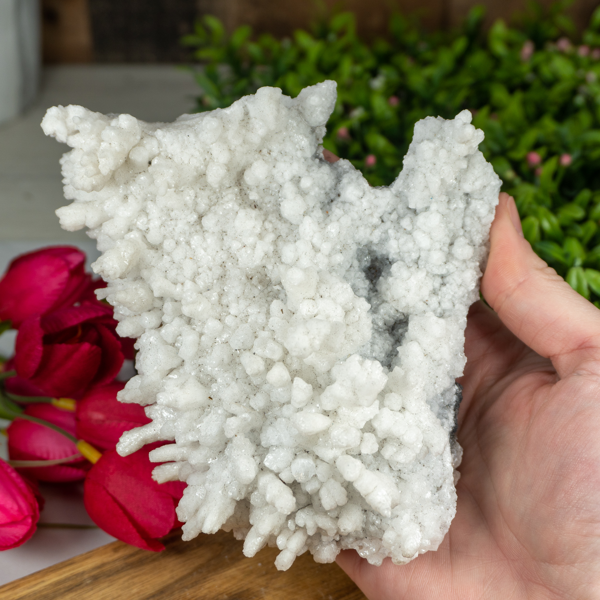 Raw White Aragonite #3 - The Crystal Council